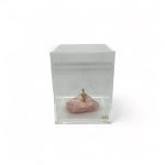 ESCULTURA MANDACARU CACTO COM QUARTZO ROSA – 01