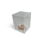 ESCULTURA MANDACARU CACTO COM QUARTZO ROSA – 02